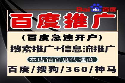企业SEM服务实战案例解析
