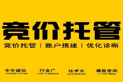 某科技公司SEM策略调整，实现业务快速增长